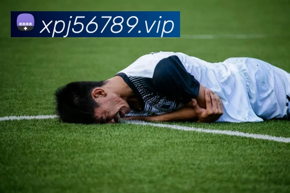 多媒体互动体验