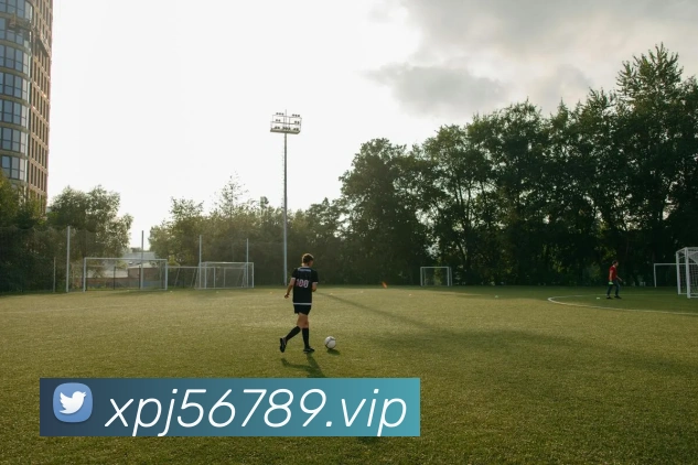 澳门新葡京入口APP 高清赛事图